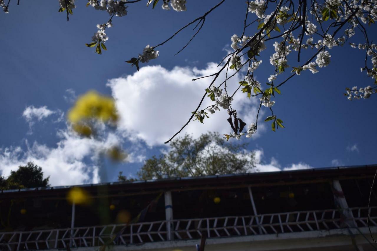 Bros Hostel Manali ภายนอก รูปภาพ
